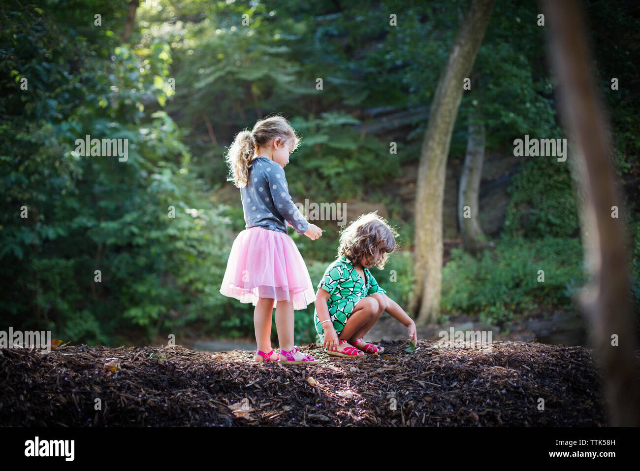 I bambini ad esplorare la sabbia in foresta Foto Stock