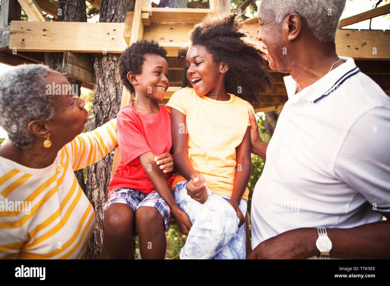 Felici i nonni e nipoti su albero di casa Foto Stock