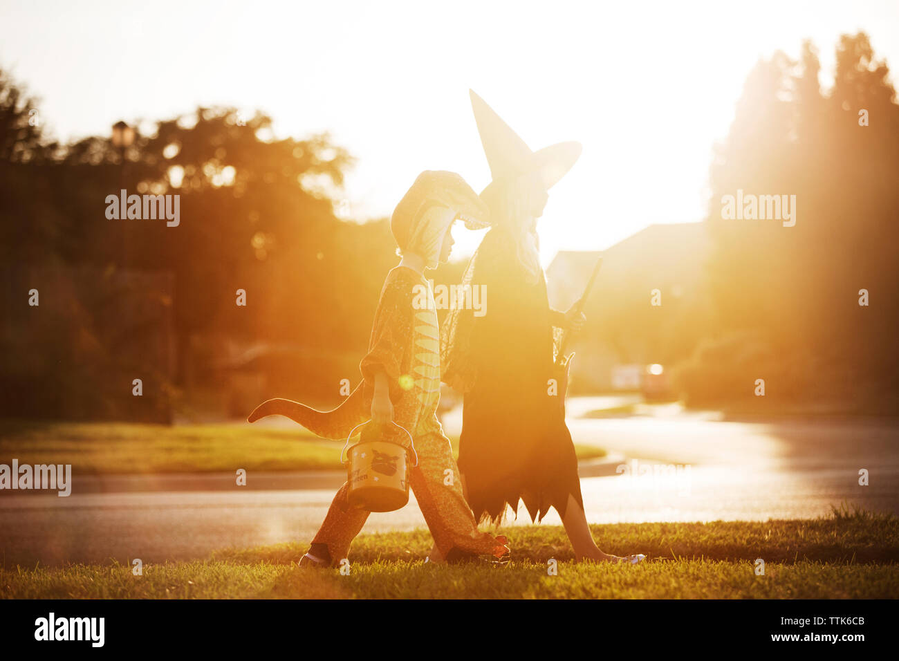 Vista laterale dei fratelli germani in costume camminando sul campo durante il tramonto Foto Stock