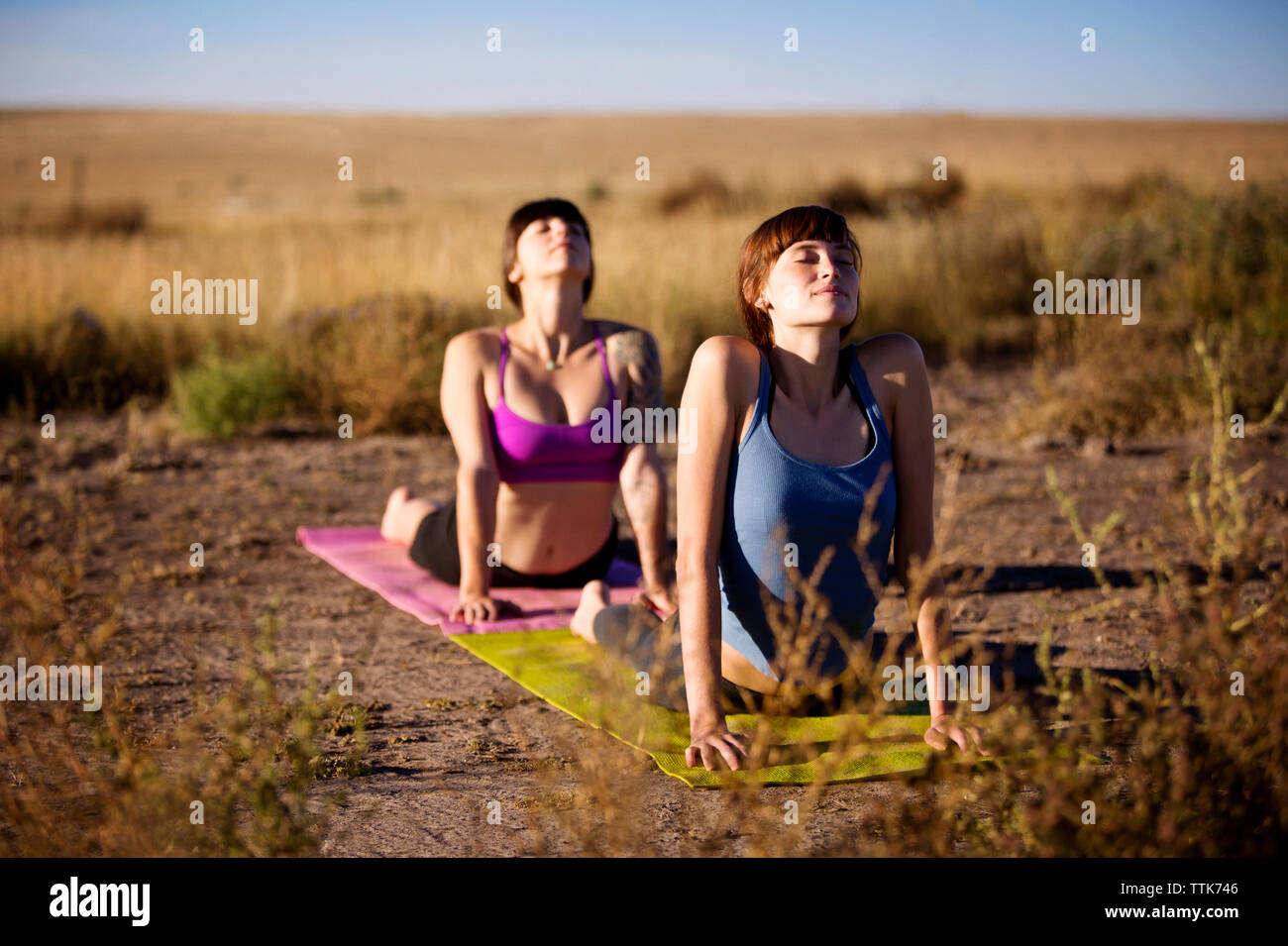 Donna sdraiata sulla parte anteriore mentre si pratica lo yoga nel cane con la testa in su pongono sul campo Foto Stock