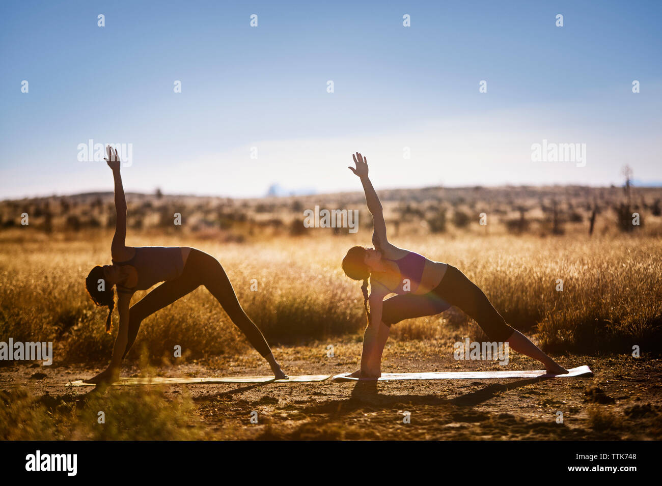Amici di sesso femminile la pratica dello yoga nella posizione del triangolo sul campo Foto Stock