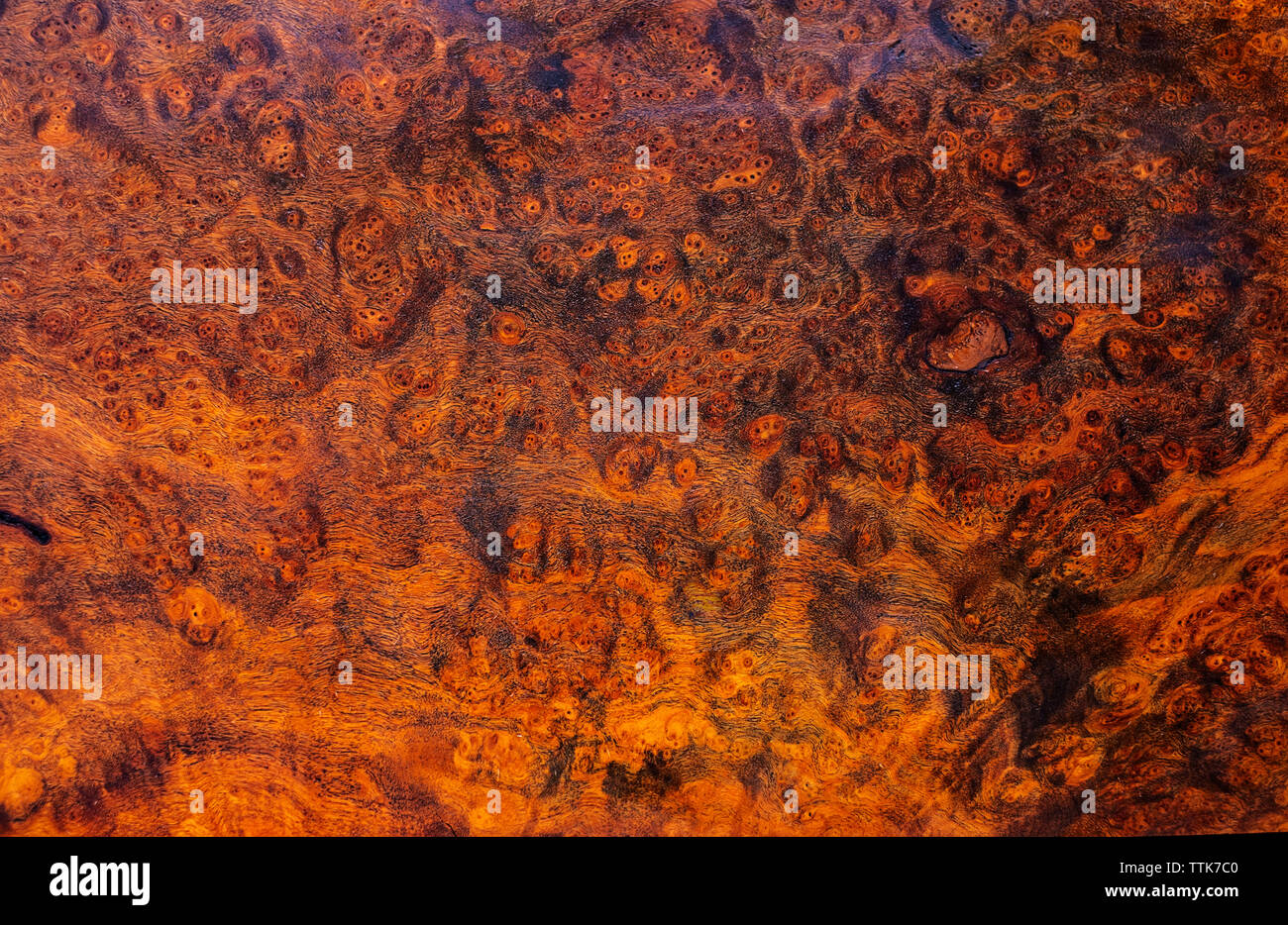 Afzelia burl a strisce di legno per stampe foto decorazione di interni auto in legno esotico bellissimo modello per l'artigianato o arte astratta texture di sfondo Foto Stock