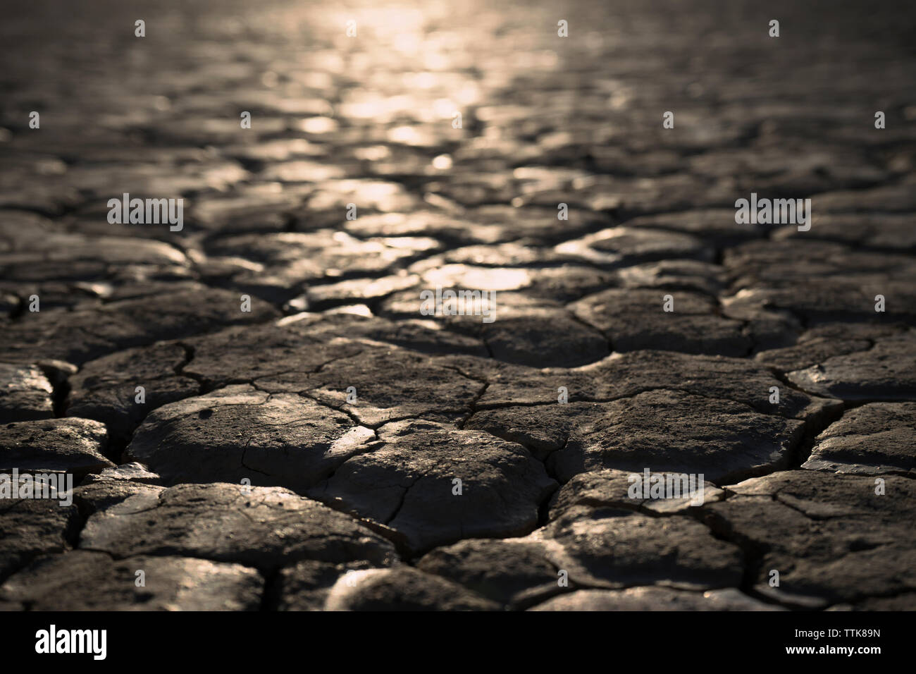 Elevato angolo di visione della luce solare in caduta sul campo secco al deserto Alvord Foto Stock