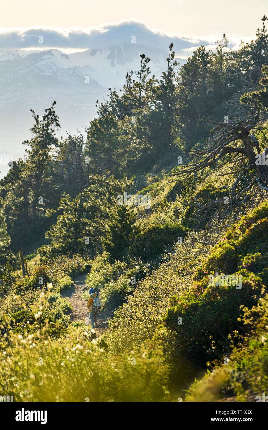 Elevato angolo di visione della donna che cammina sul sentiero durante la giornata di sole Foto Stock