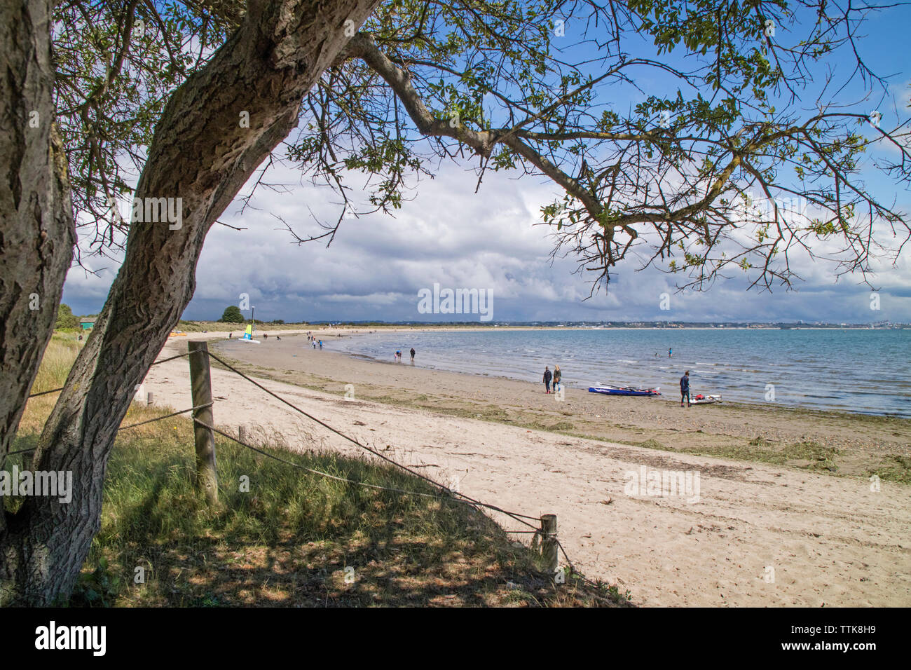 Spiaggia centrale, Studland Bay, Studland,Dorset,l'Inghilterra, Regno Unito Foto Stock