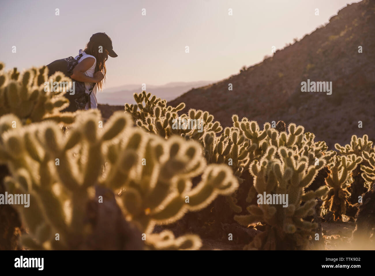 Donna che cammina con zaino nel deserto tra Cactus vicino alle montagne Foto Stock