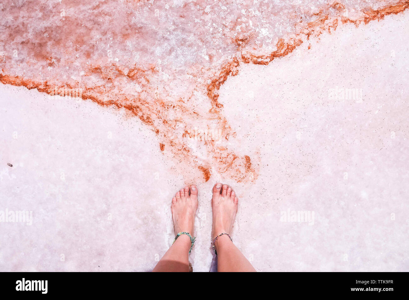 Sezione bassa della donna in piedi sulla riva di pink Salt Lake al Parco Nazionale di Coorong Foto Stock