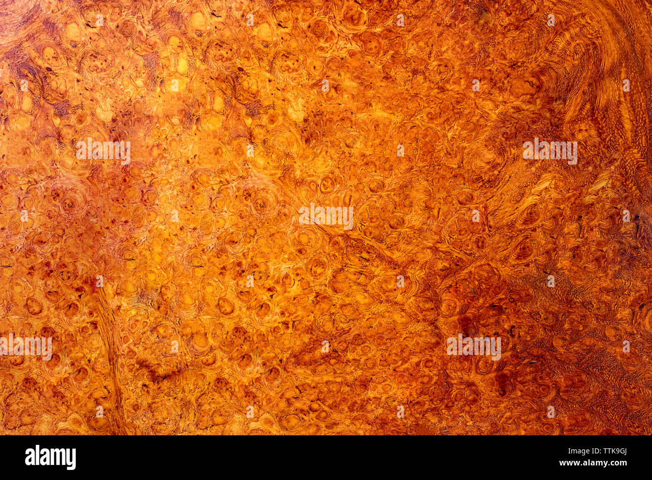 Natura burl texture di legno Foto Stock