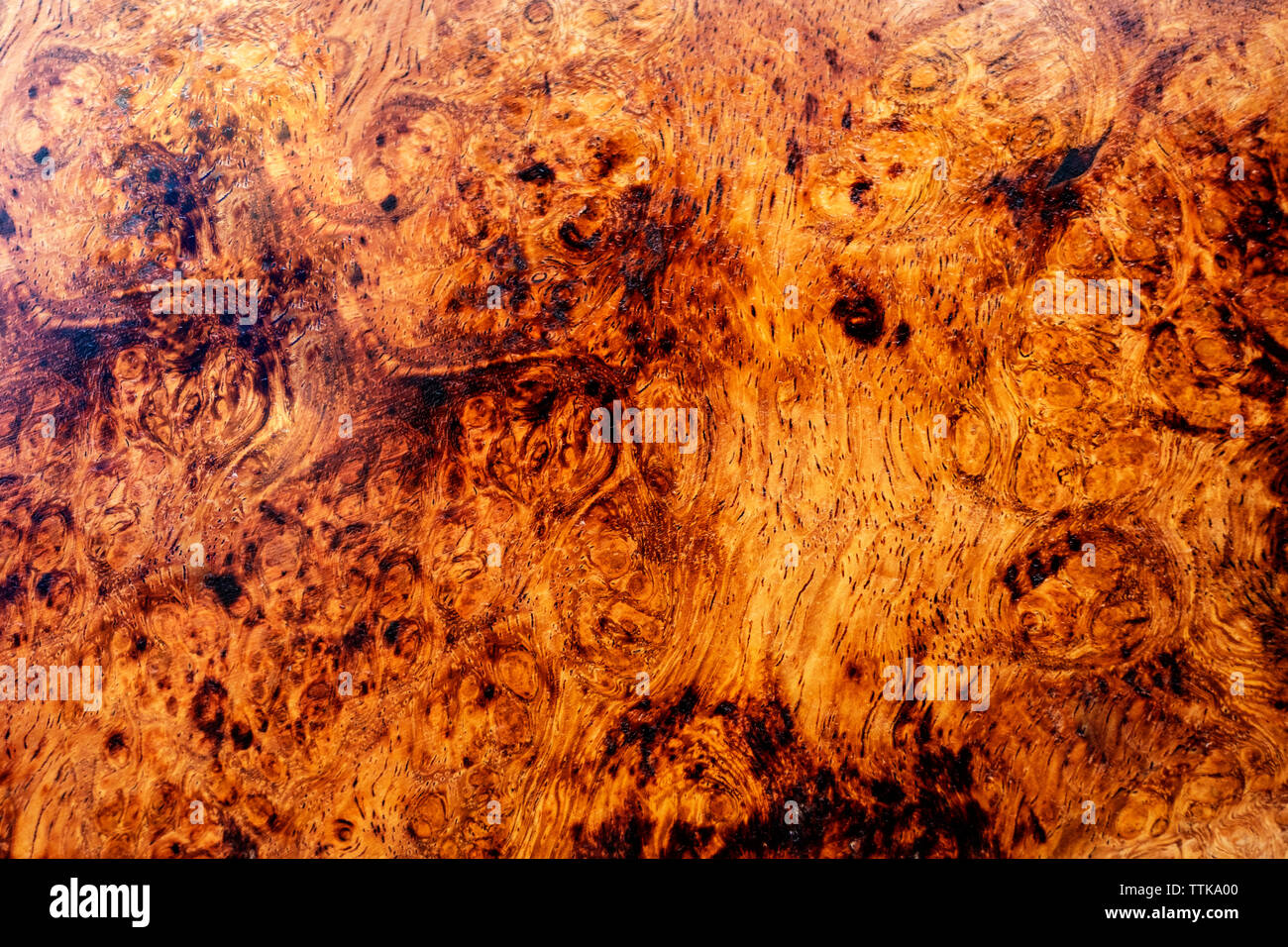 Natura burl texture di legno Foto Stock