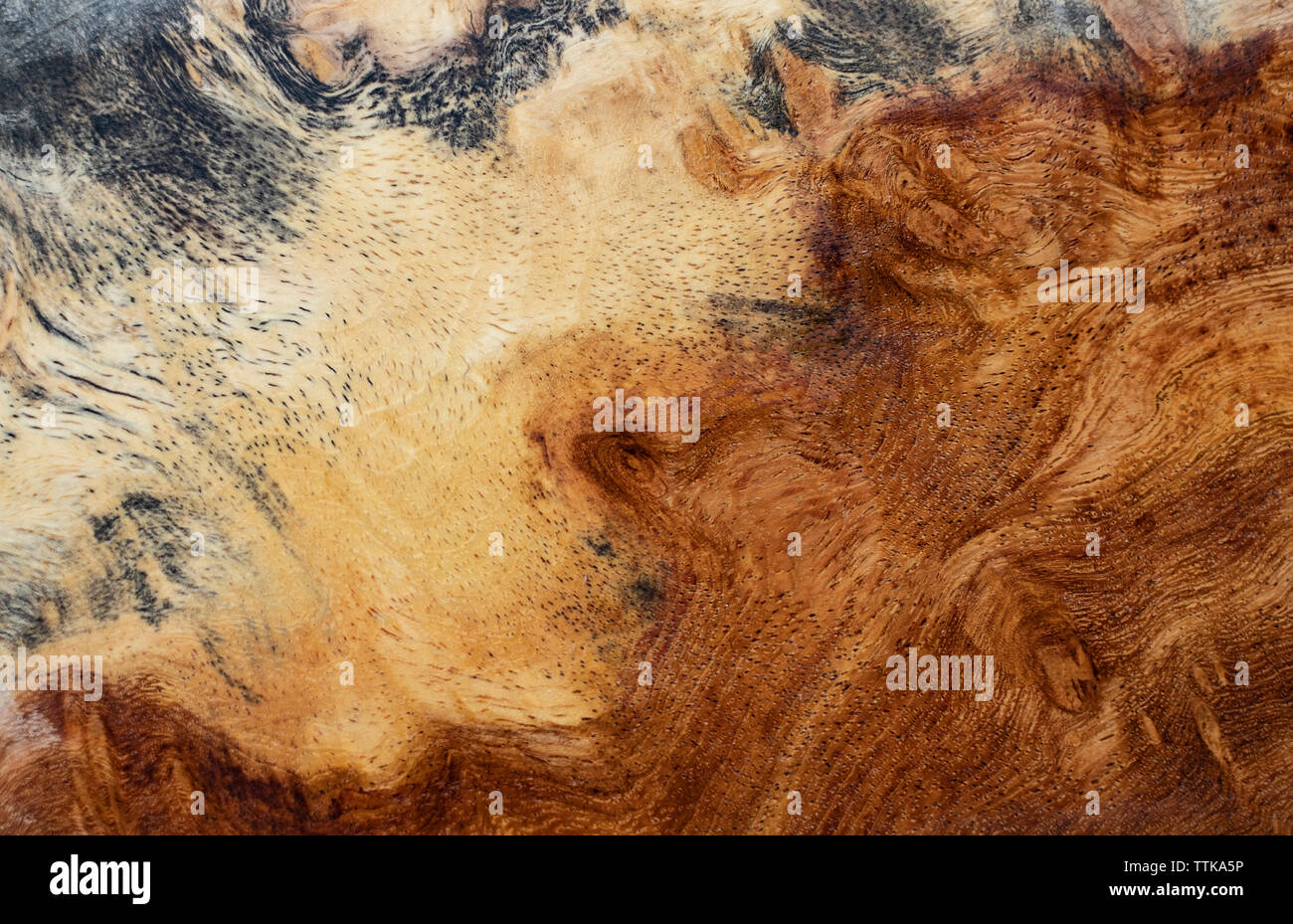 Natura burl texture di legno Foto Stock