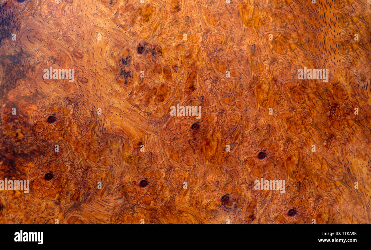 Natura burl texture di legno Foto Stock