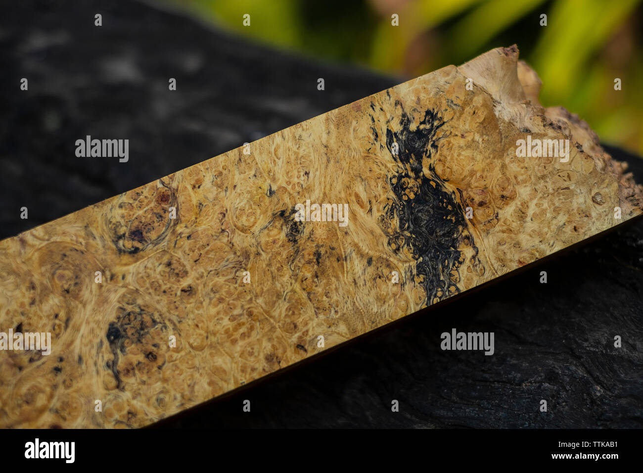 Natura burl texture di legno Foto Stock