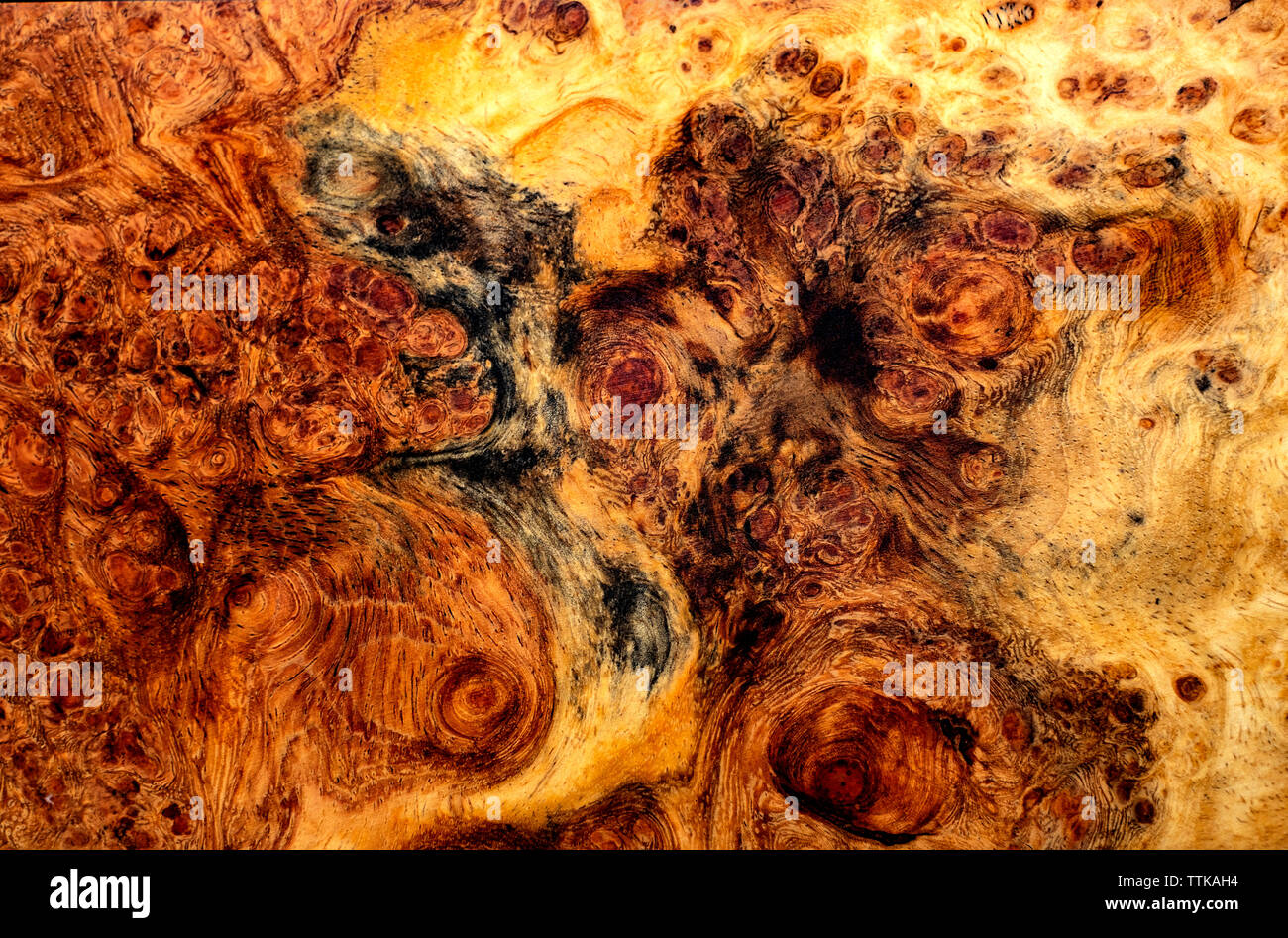 Natura burl texture di legno Foto Stock