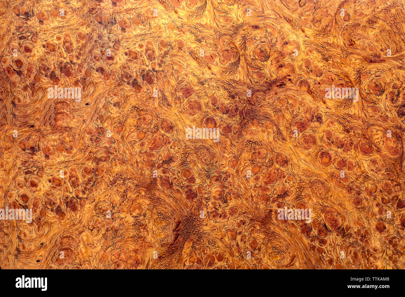 Natura burl texture di legno Foto Stock