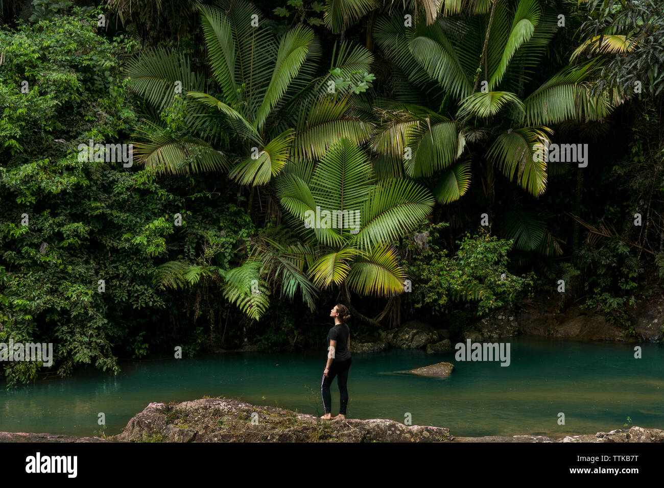 Per tutta la lunghezza della donna in piedi sulle rocce a lakeshore contro albero in El Yunque National Forest Foto Stock