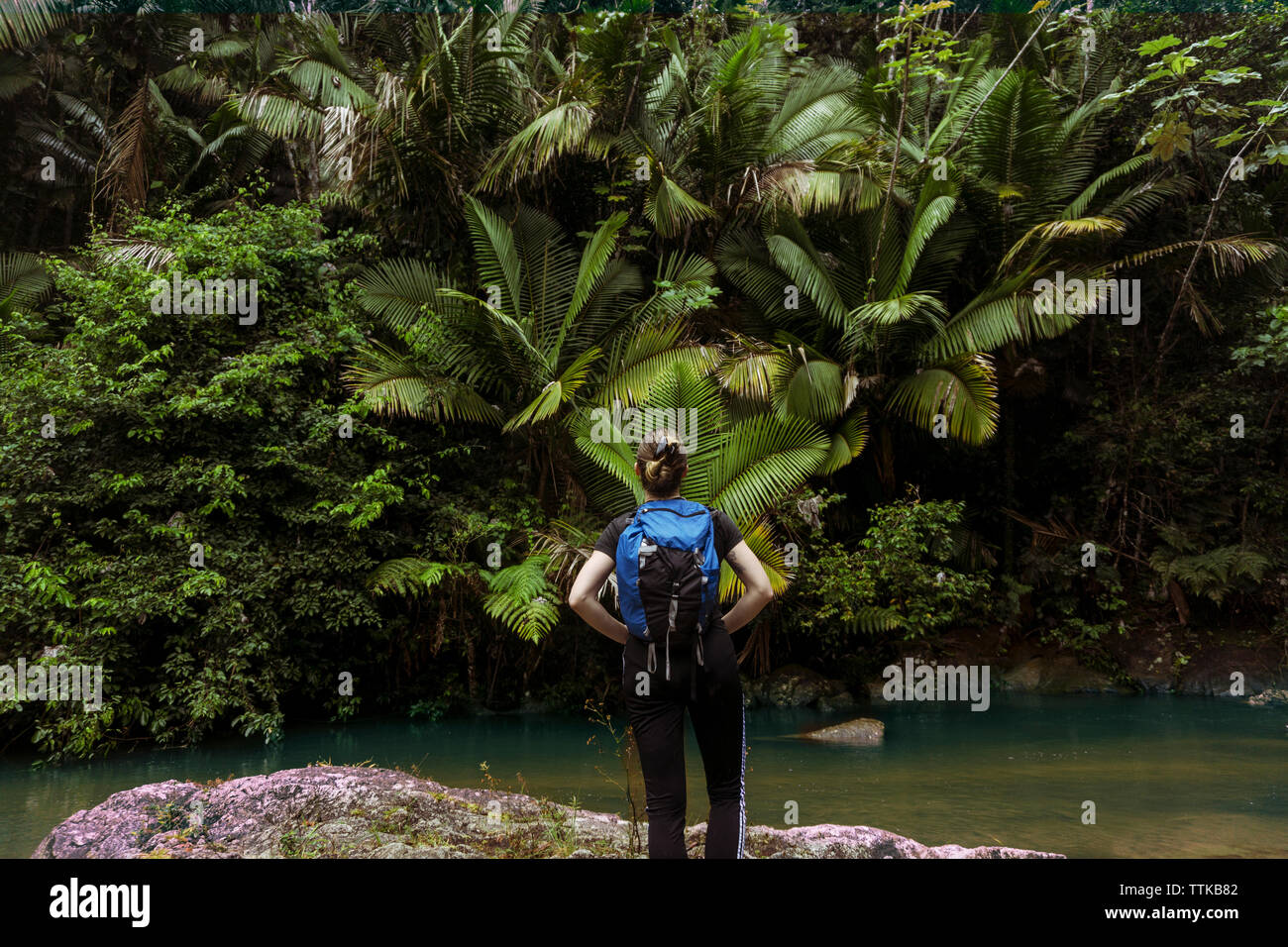 Vista posteriore della donna con zaino in piedi sul lungolago di El Yunque National Forest Foto Stock