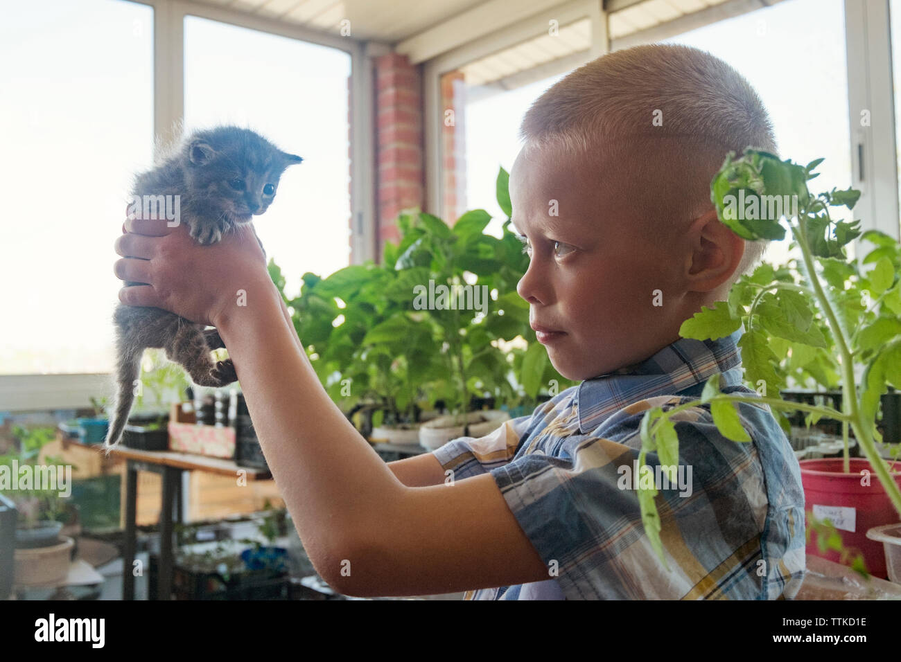 Ragazzo holding gattino nel vivaio Foto Stock