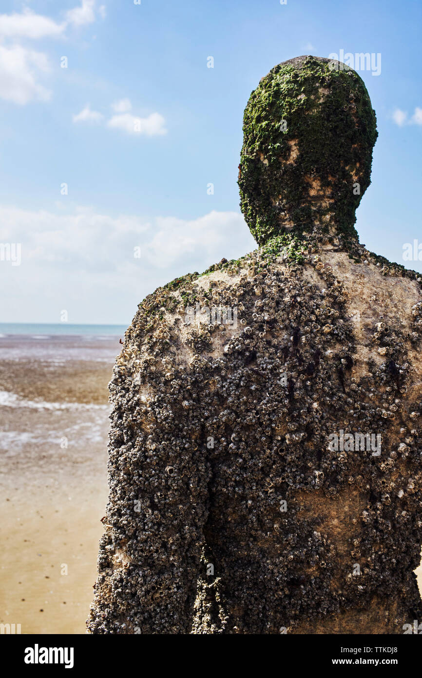 Un barnacle incrostati di Anthony Gormley in altro luogo statua a Crosby spiaggia affacciata sul mare Foto Stock