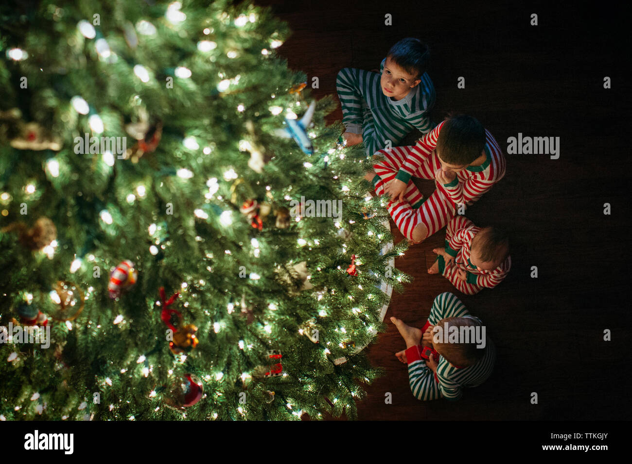 Vista ad angolo alto dei fratelli seduti accanto all'albero di natale a casa Foto Stock