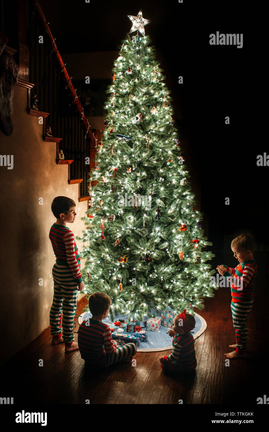 Fratelli vicino all'albero di natale a casa Foto Stock