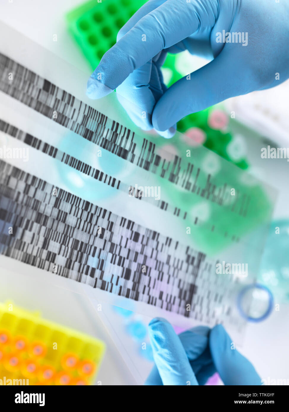 Angolo di alta vista ritagliata mani gel di DNA durante il lavoro in laboratorio Foto Stock
