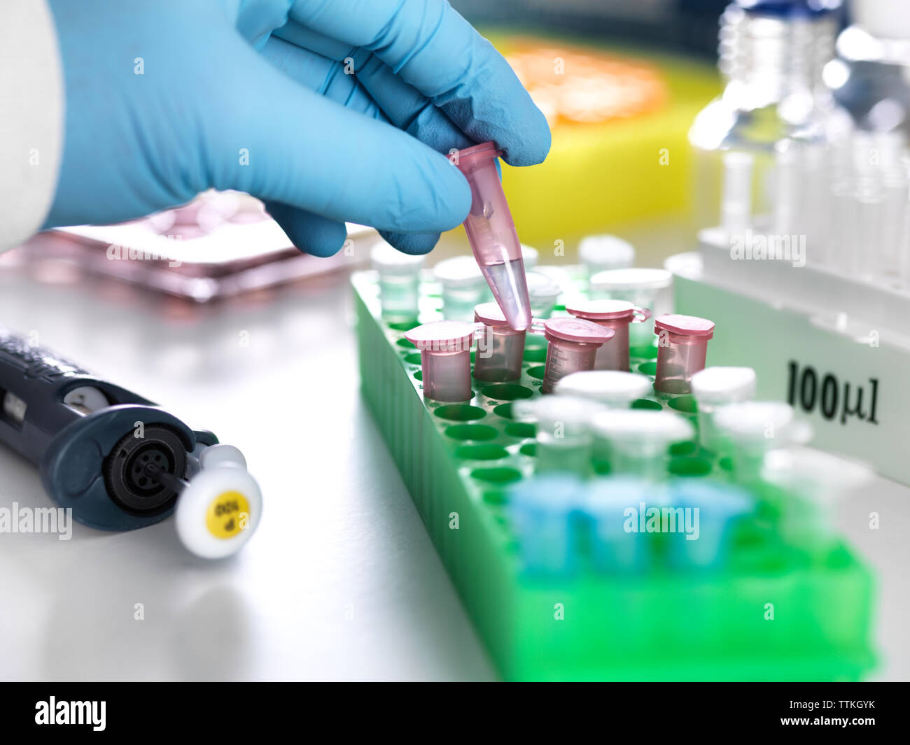 Ritagliate la mano dello scienziato mettendo eppendorf contenente campione scientifico in rack Foto Stock