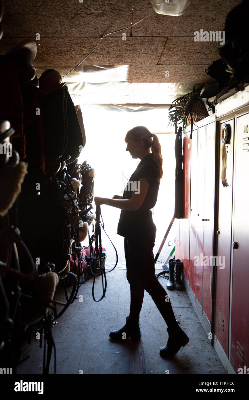 Per tutta la lunghezza della donna ricerca briglia in sala archiviazione Foto Stock