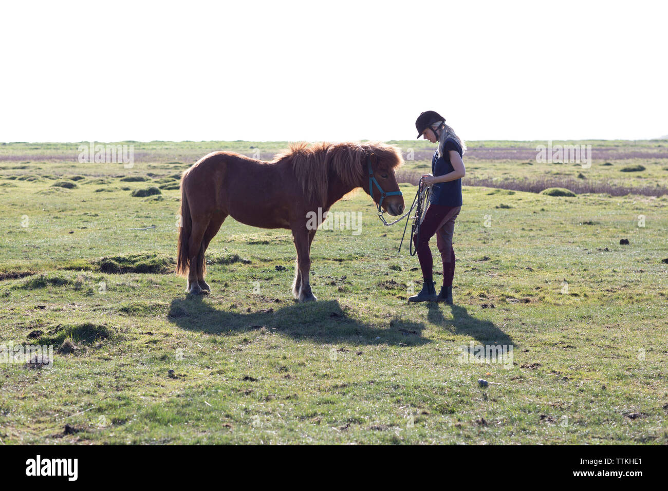 Donna cordini mentre in piedi a cavallo sul campo erboso contro il cielo chiaro durante la giornata di sole Foto Stock