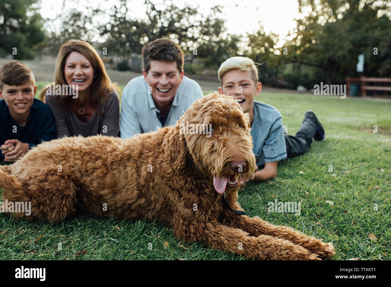 La famiglia felice con Irish Wolfhound giacente sul campo erboso a park Foto Stock