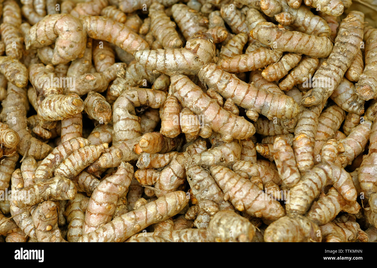 Organici di curcuma Foto Stock