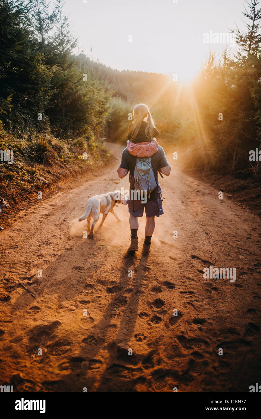 Vista posteriore del padre che porta la figlia sulle spalle mentre passeggiate con il cane sulla strada sterrata durante la giornata di sole Foto Stock