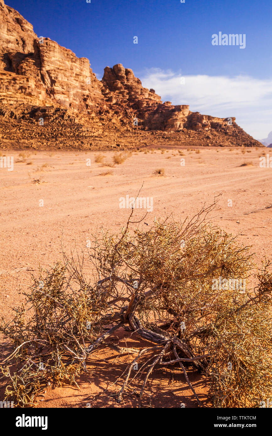 Le formazioni di roccia nel deserto giordano a Wadi Rum o a valle della luna. Foto Stock