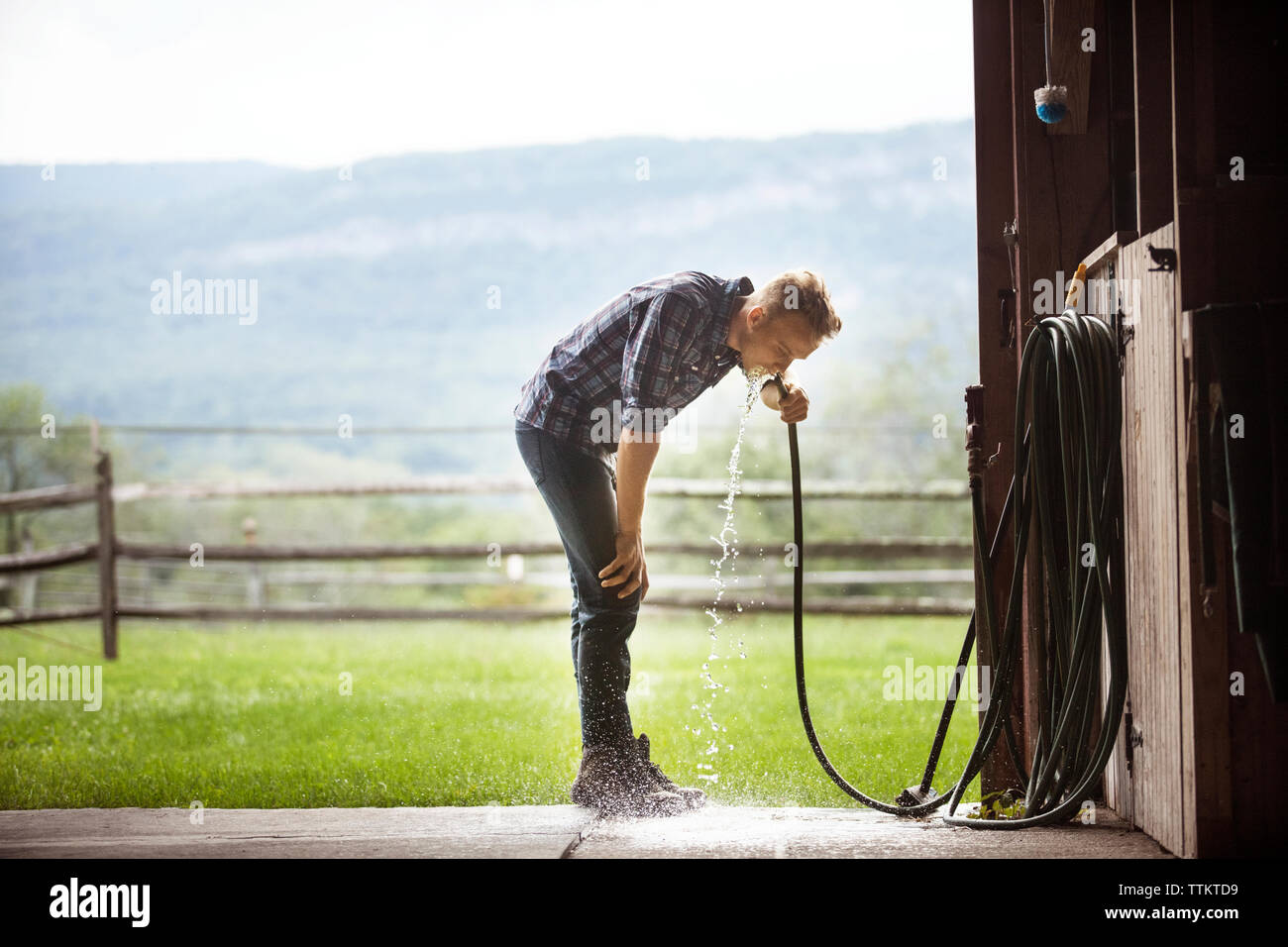 L uomo assetato di bere acqua dal tubo flessibile in stabile Foto Stock