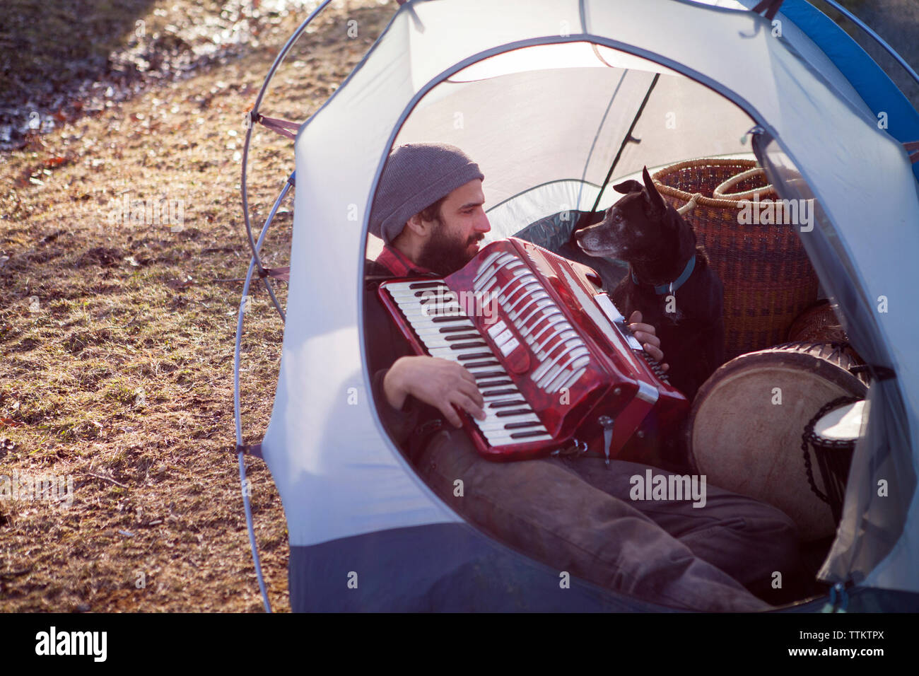 Uomo a suonare la fisarmonica per il cane mentre è seduto in tenda al campeggio Foto Stock