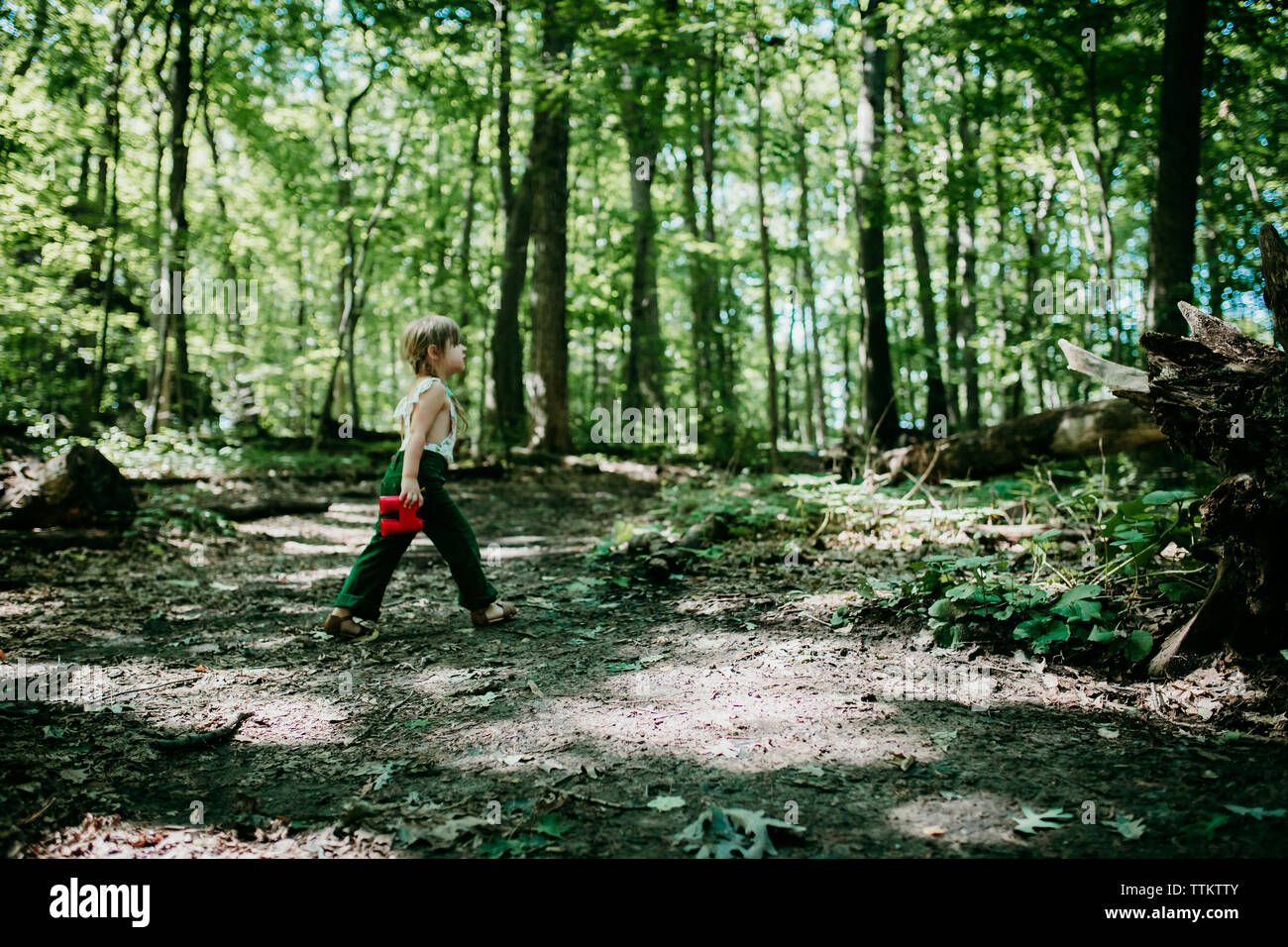 Ragazza nel verde della foresta con un binocolo Rosso esplorando Foto Stock