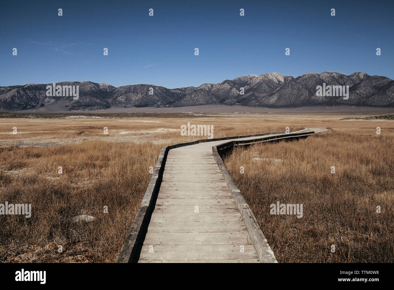 Passerella in legno sul campo erboso contro la montagna al lago Mammoth Hot Springs Foto Stock