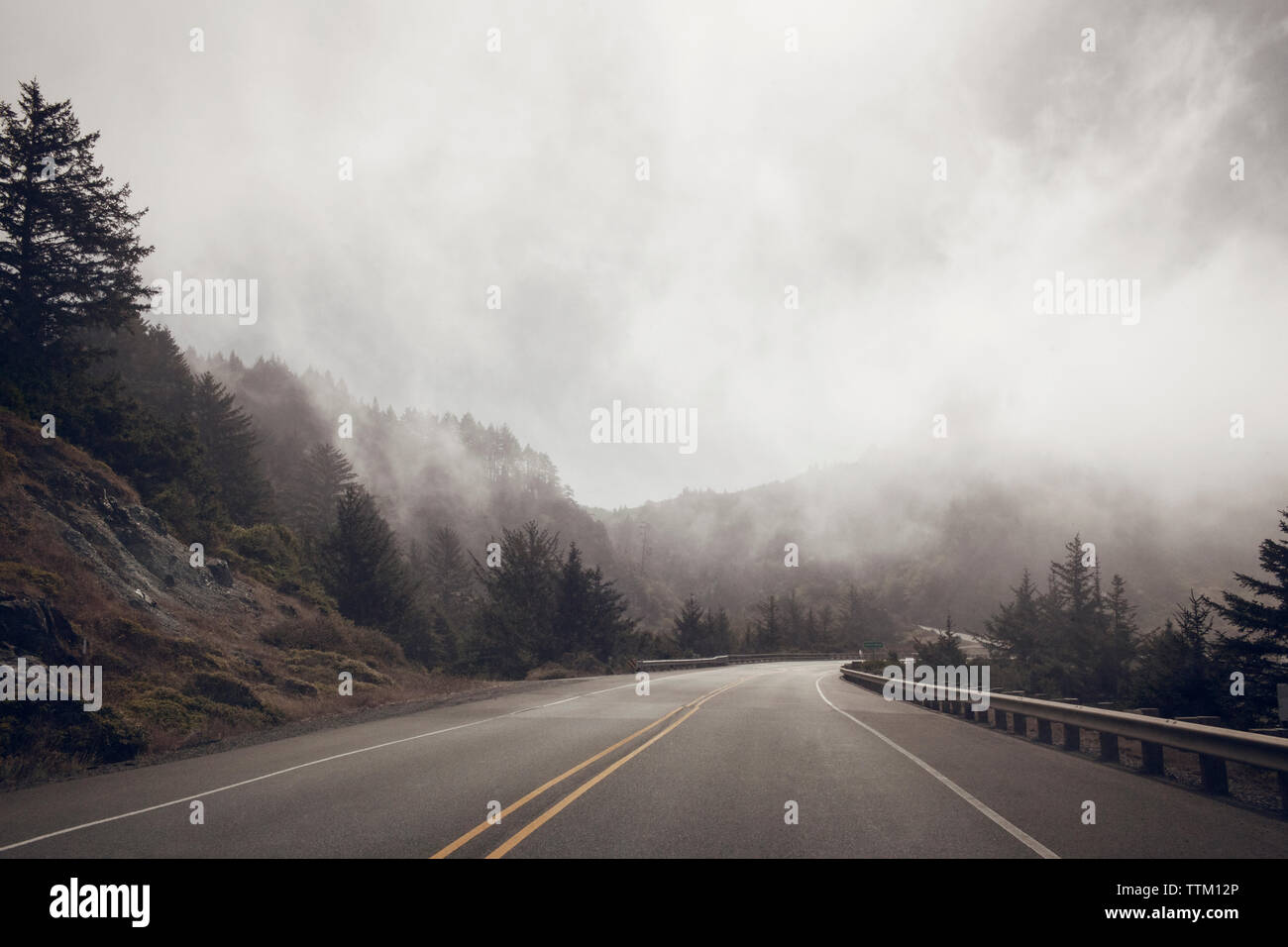 Paese vuota strada durante la nebbia meteo Foto Stock