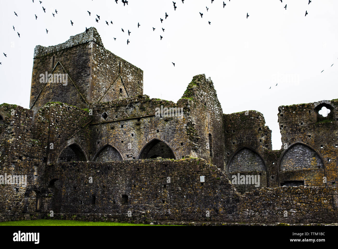 Basso angolo di visione degli uccelli in volo su un vecchio castello abbandonato Foto Stock