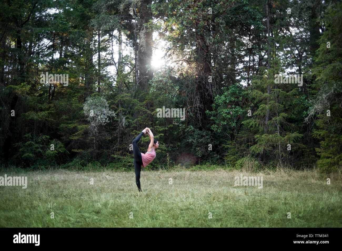 Per tutta la lunghezza della donna pratica Natarajasana contro alberi nel campo Foto Stock