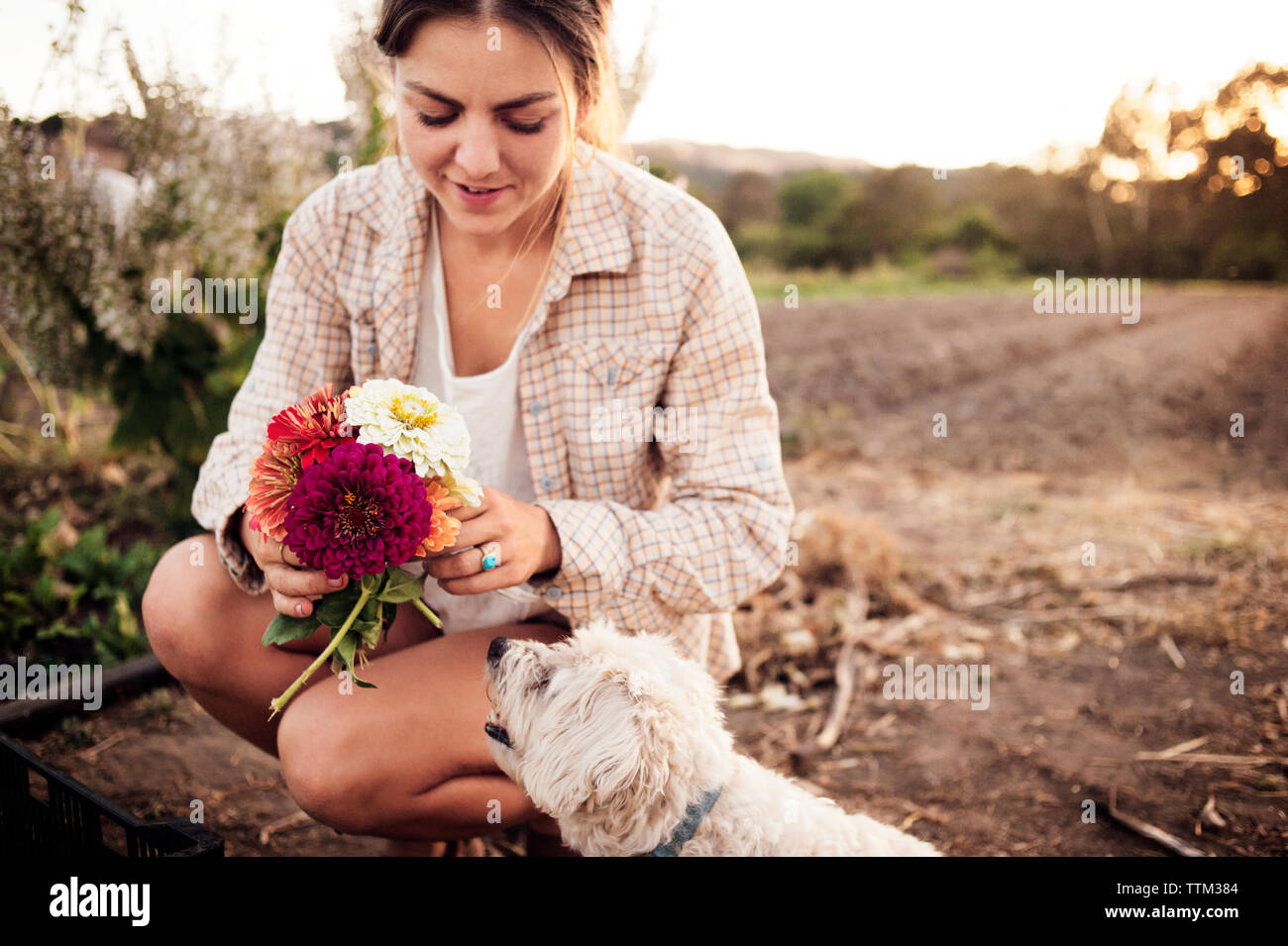 L'agricoltore femmina holding bellissimi fiori con cane sul campo Foto Stock