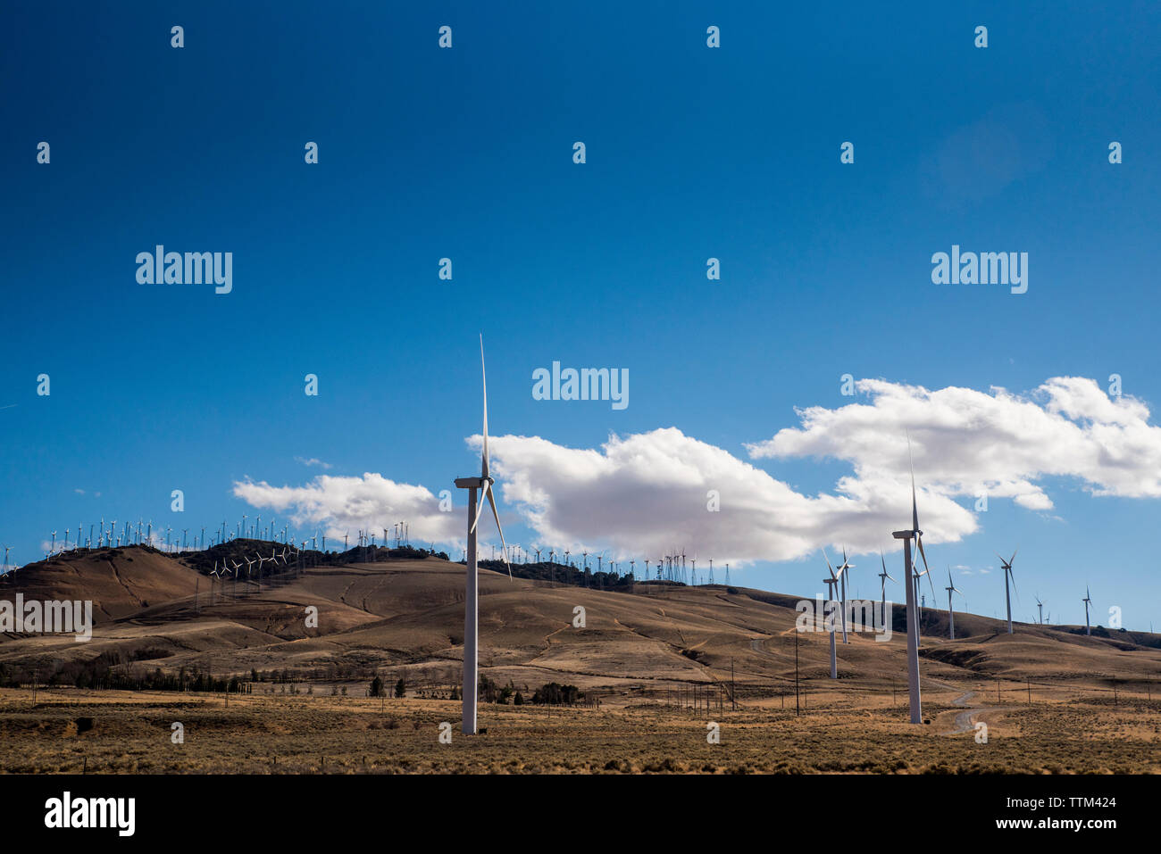 Mulini a vento al deserto contro sky Foto Stock