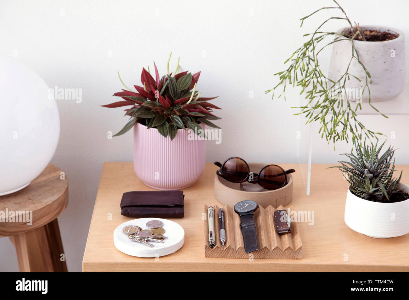 Angolo di alta vista di accessori personali con piante disposte sul tavolo di legno contro la parete a casa Foto Stock