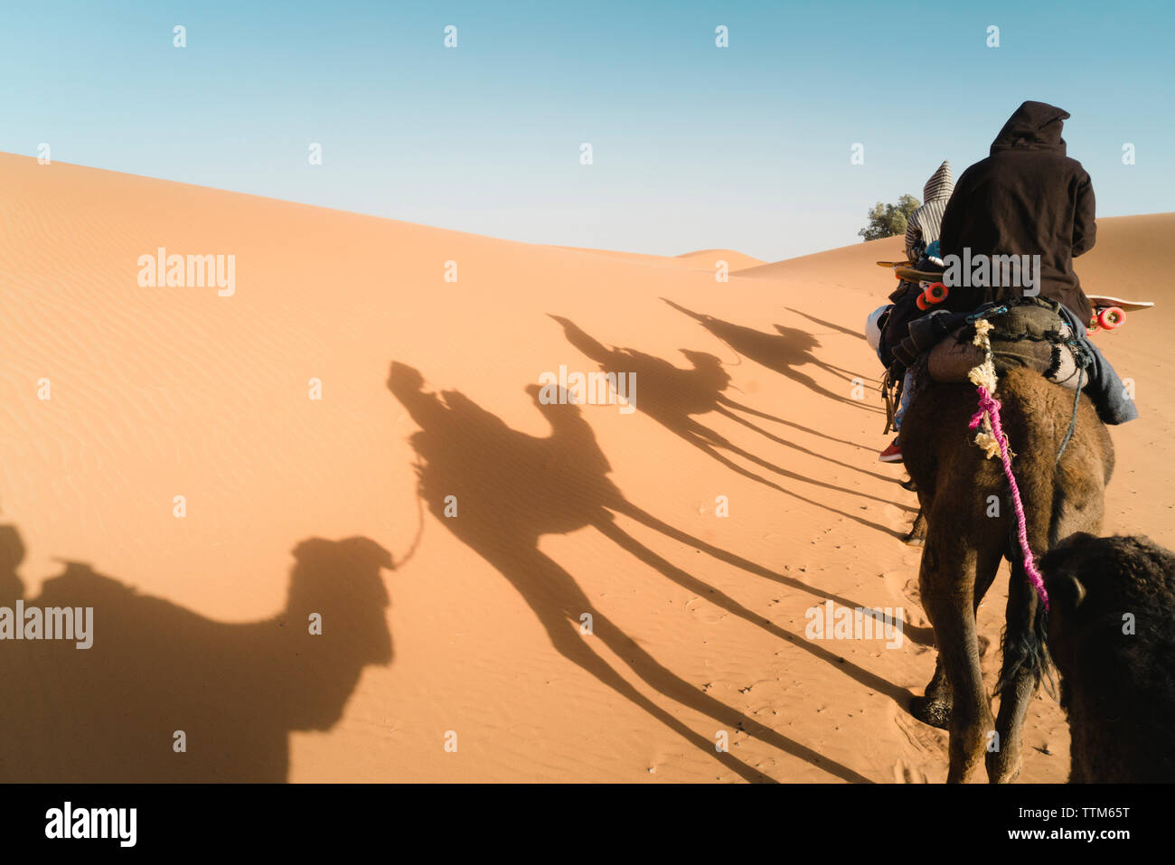 Vista posteriore di amici seduti sul cammello al desert contro sky durante la giornata di sole Foto Stock
