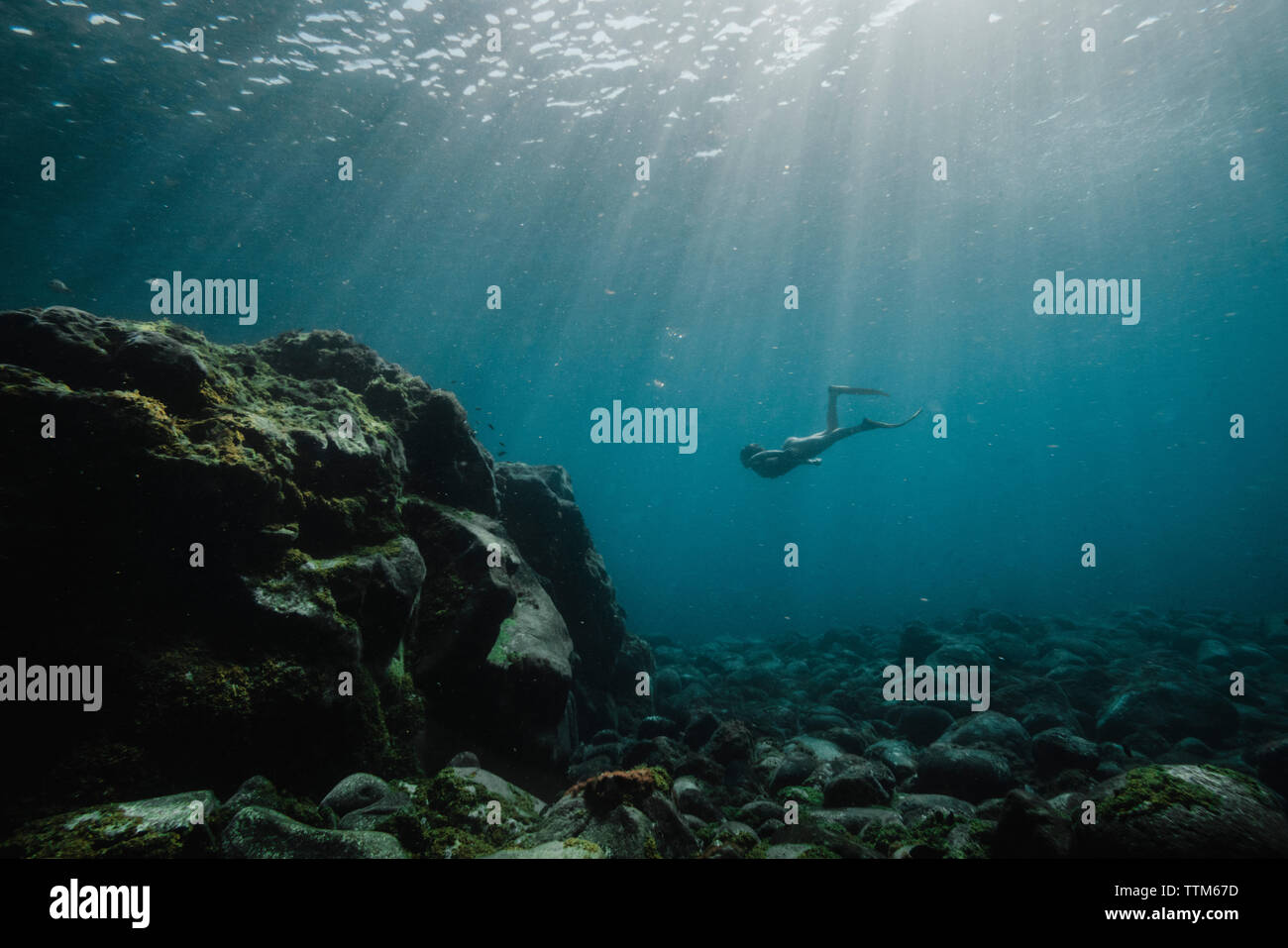 Basso angolo di visione della donna spensierata immersioni subacquee Foto Stock