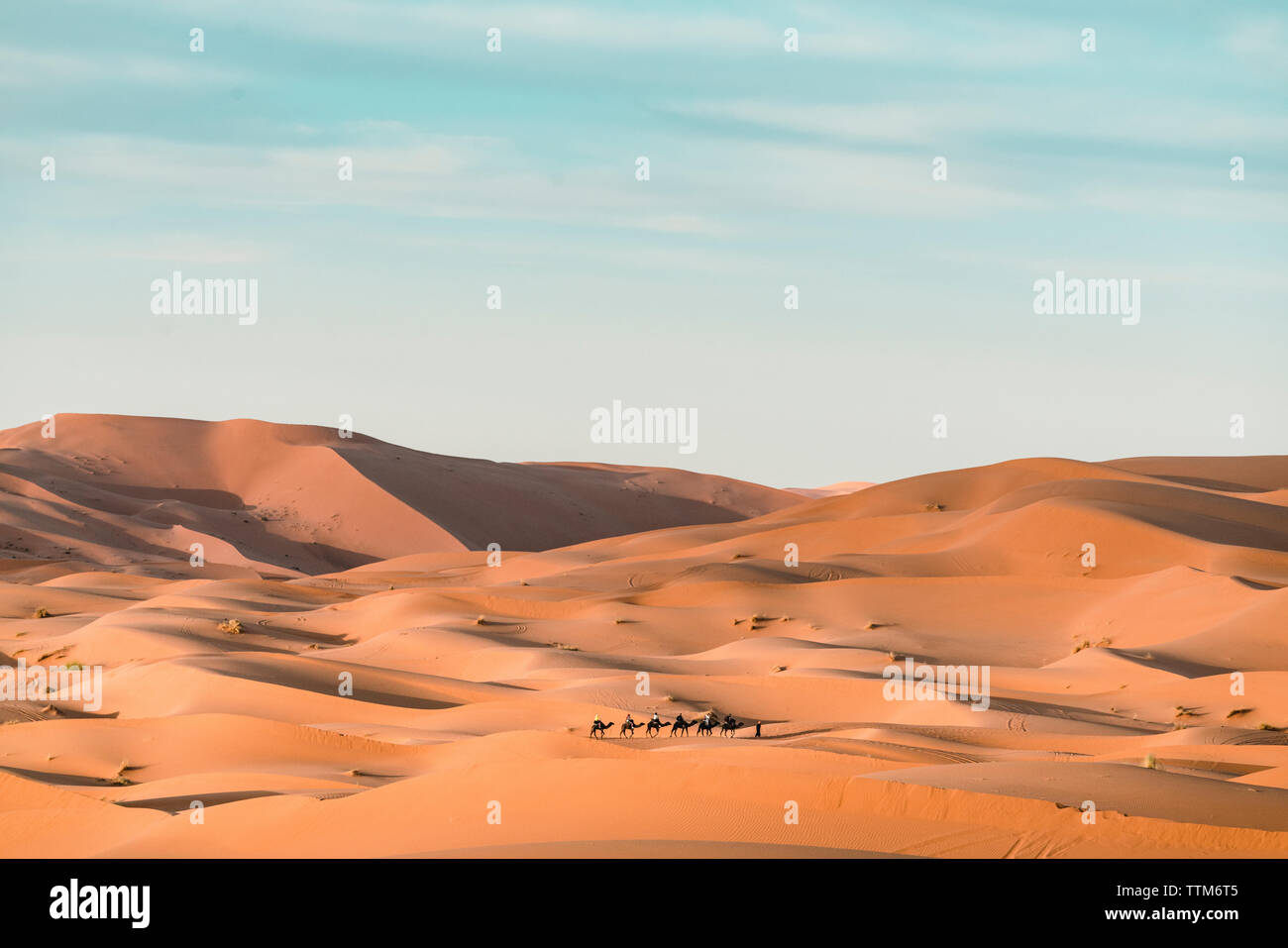 Persone con i cammelli a Merzouga deserto contro sky Foto Stock