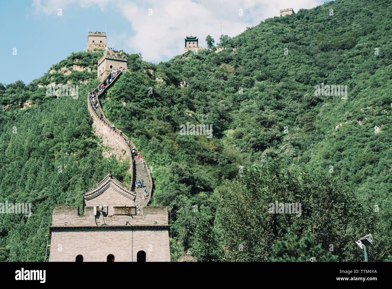 La Grande Muraglia della Cina nel mezzo di alberi in montagna durante la giornata di sole Foto Stock