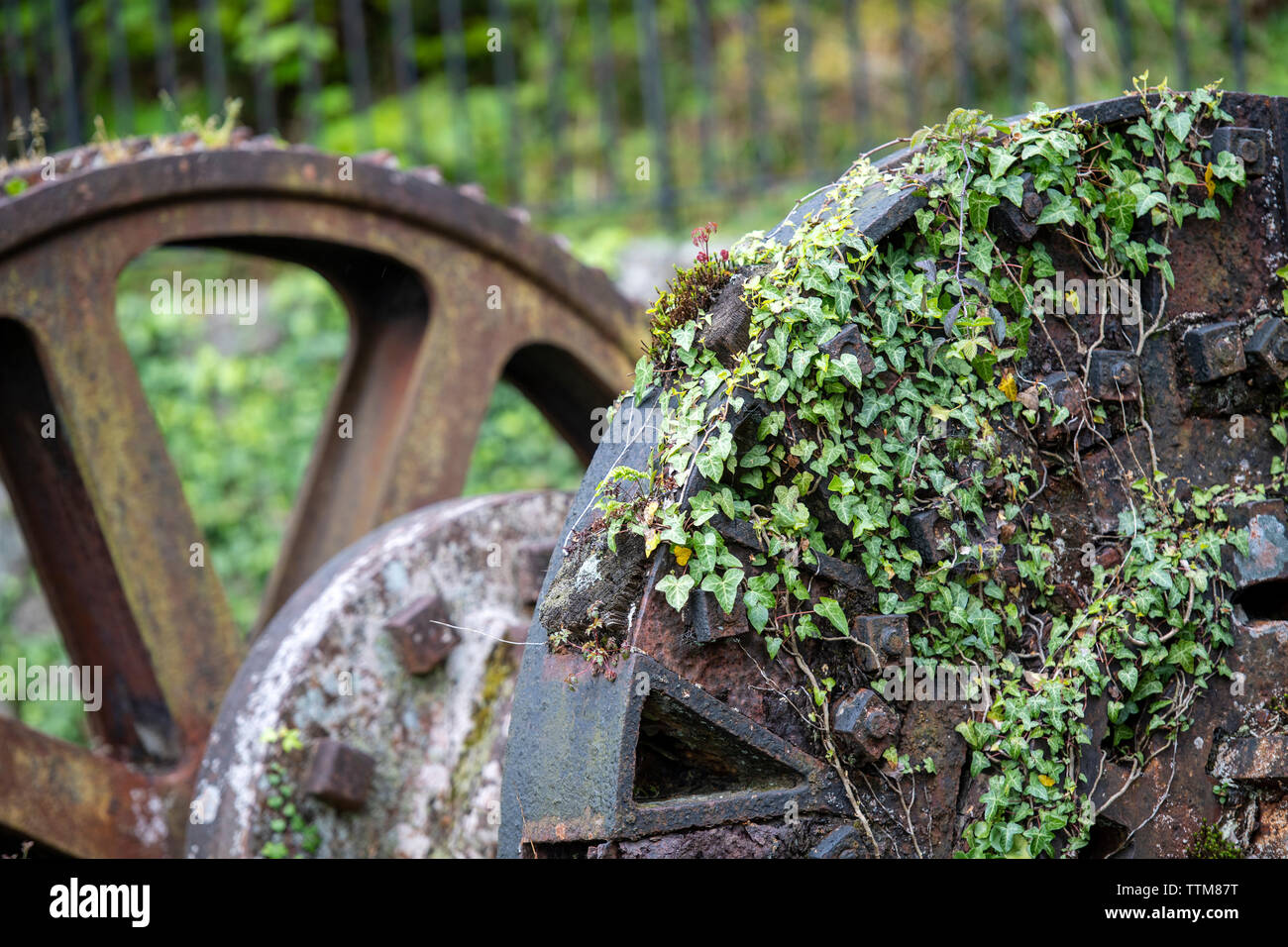 I vecchi macchinari e industriale del XIX secolo rimane nella valle Luxulyan in Cornovaglia, England, Regno Unito Foto Stock