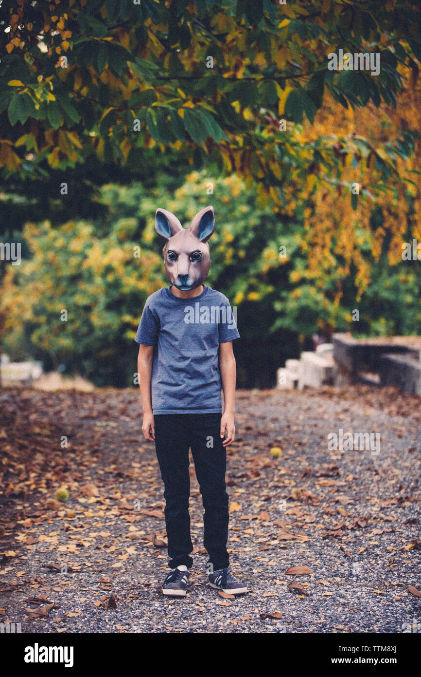 Per tutta la lunghezza del ragazzo che indossa la maschera animale mentre in piedi da alberi durante il periodo di Halloween Foto Stock