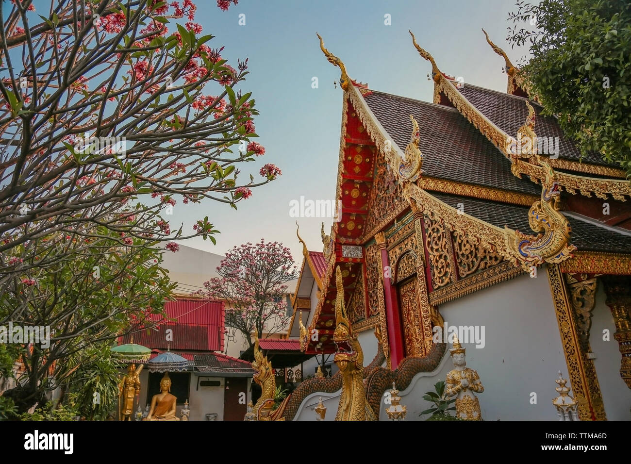 Pagoda e fiori di fioritura in Chiang Mai Thailandia Foto Stock