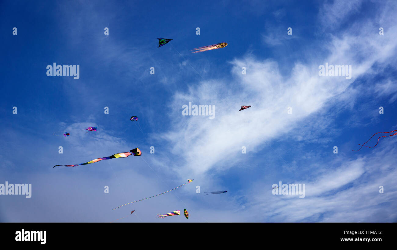 Aquiloni nel cielo Foto Stock